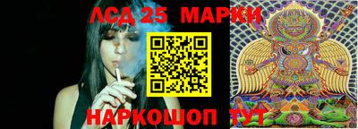 молекула духа Пугачёв