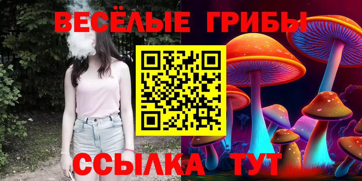 Псилоцибиновые грибы прущие грибы  Вход с VPN  Алатырь  Псилоцибиновые грибы мухоморы 