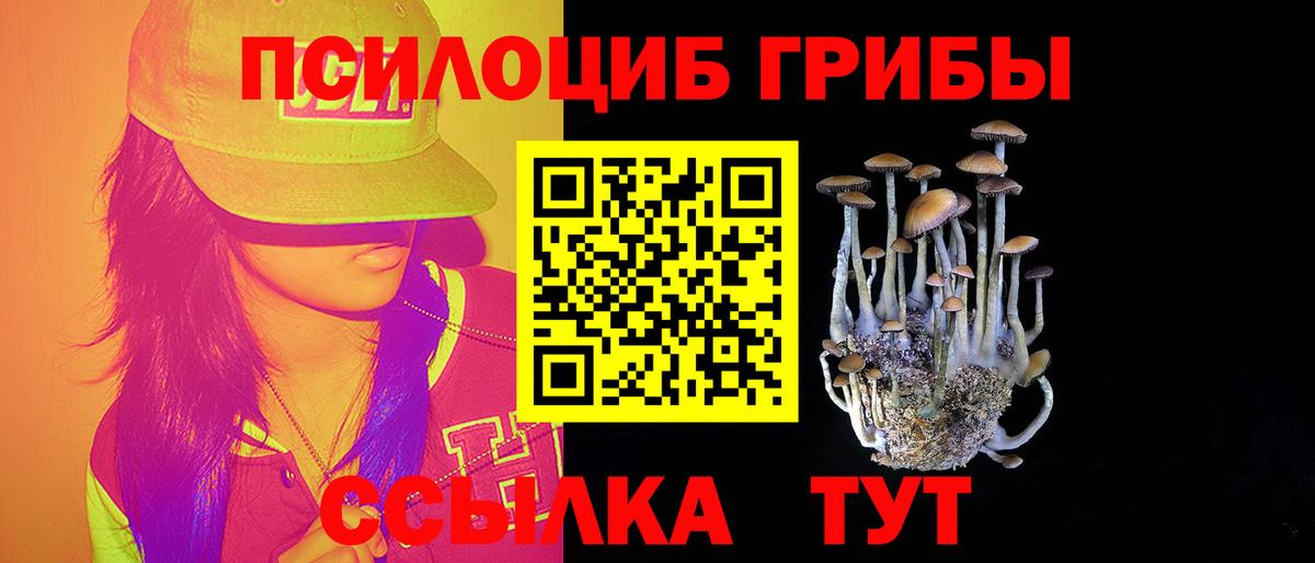 Галлюциногенные грибы GOLDEN TEACHER Алатырь