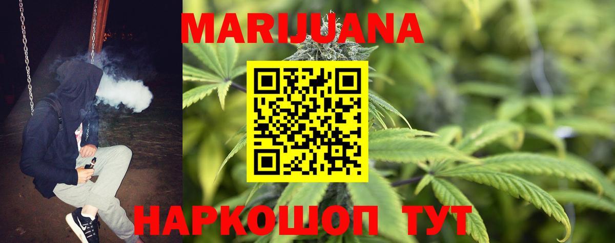 Каннабис Bruce Banner  МАРИХУАНА ГИДРОПОН  Каннабис семена  Вход с VPN  Алатырь 